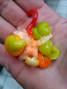 Mutant Bell Pepper Produce