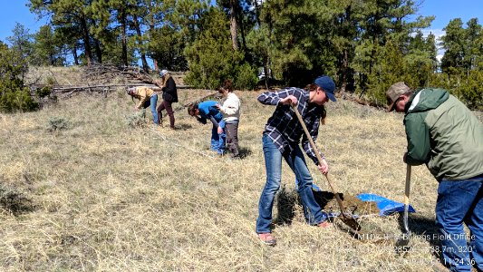 2019 National AIM Training
