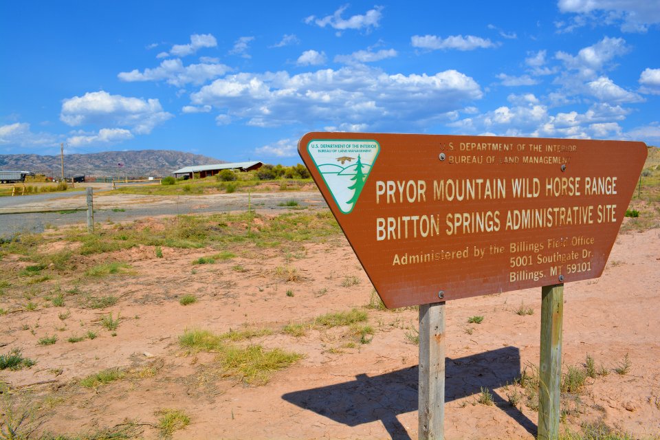 BrittonSprings3