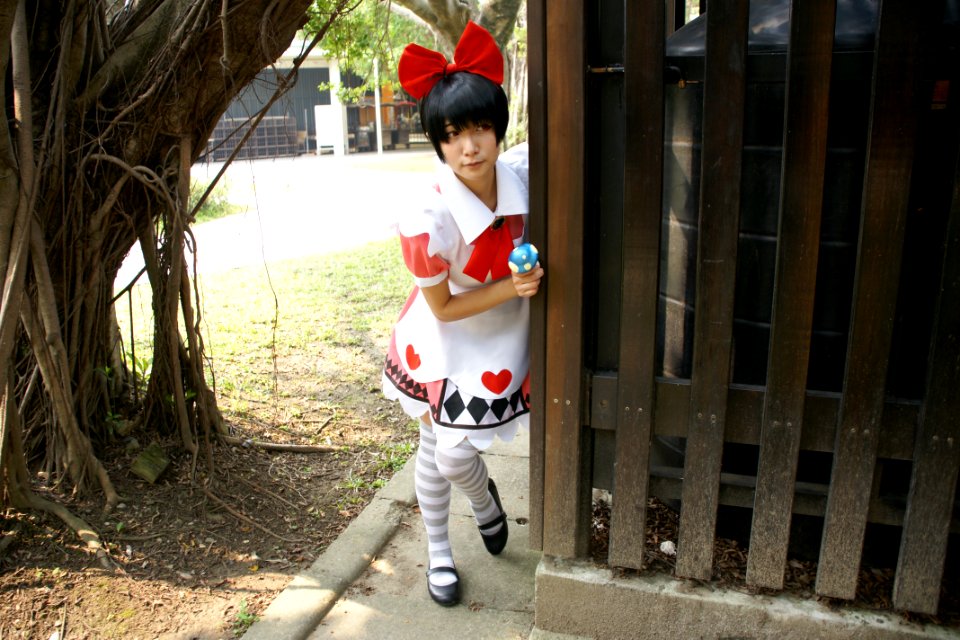 DSC08277