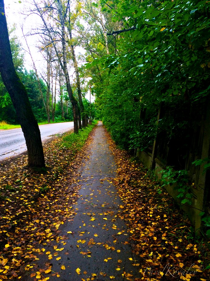 My way to home