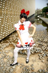 DSC08247