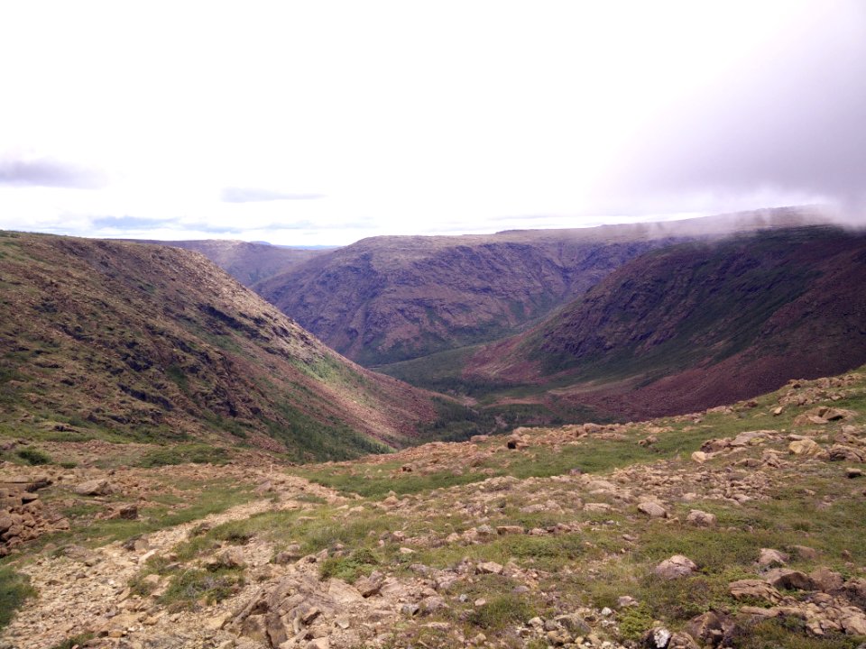 077 - Parc national de la Gaspésie : Mont Albert