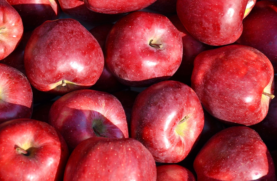 Apple fruit food
