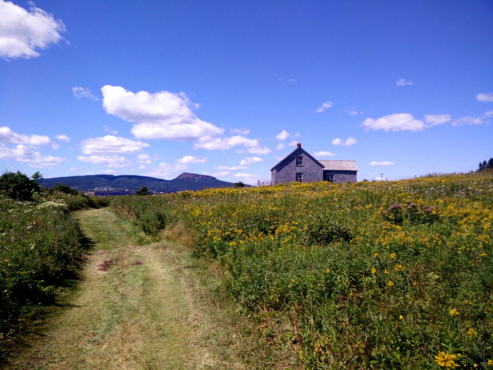 199 - Parc national de l'Île-Bonaventure-et-du-Rocher-Percé : Sentier Chemin-du-Roy