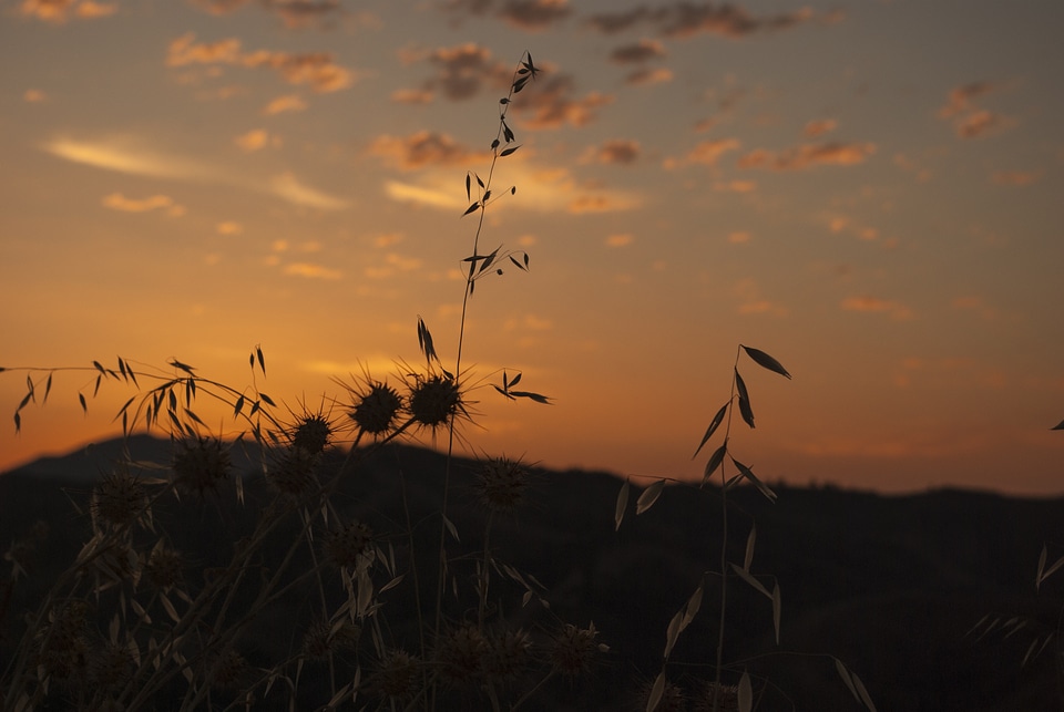 Sunset landscape horizon