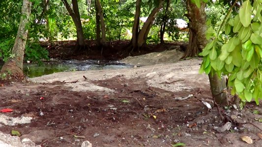 Clean Up the World 2014 - Seychelles
