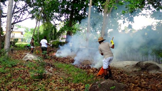 Clean Up the World 2014 - Seychelles