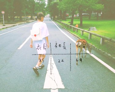 尺寸