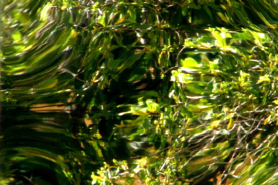 green reflection 2