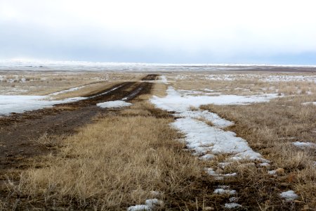 DSC 0008