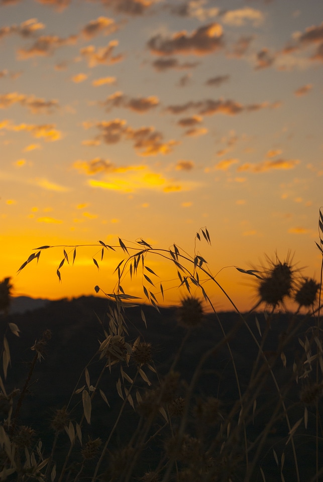 Sunset landscape horizon
