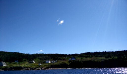 173 - Parc national de l'Île-Bonaventure-et-du-Rocher-Percé