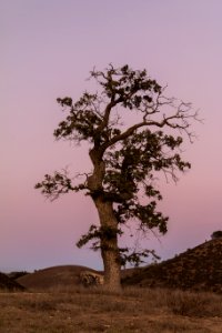 Standing Alone photo