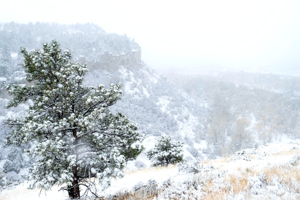 Four Dances Natural Area, Billings, Montana