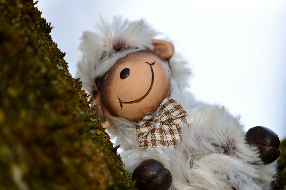 Soft toy fur animal world