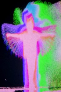 multicolor angel