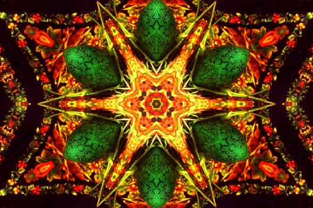 kaleidoscope 46 photo