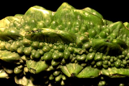 warty green vegetable photo
