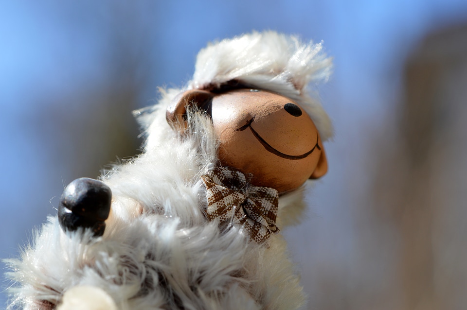 Soft toy fur animal world