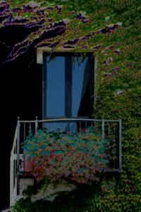 color-solarized balcony