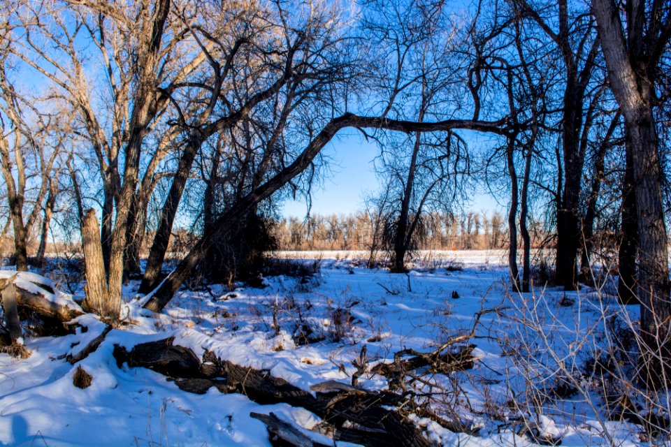 Sundance Lodge Recreation Area
