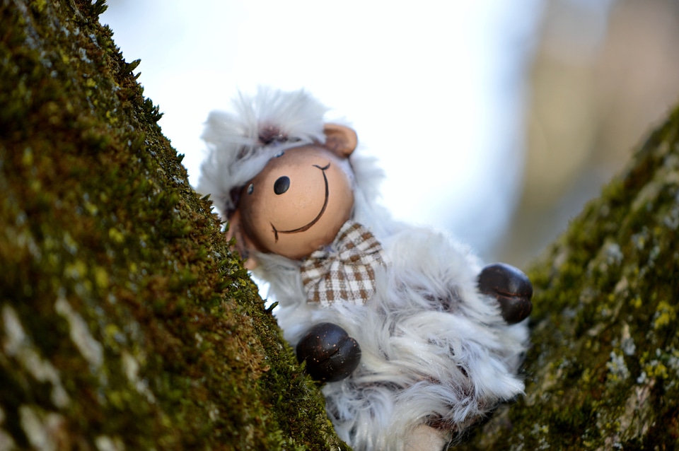 Soft toy fur animal world