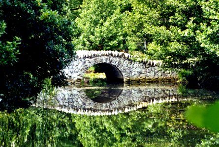 bridge with reflection photo