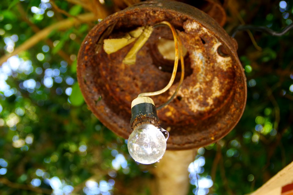 Trophical light