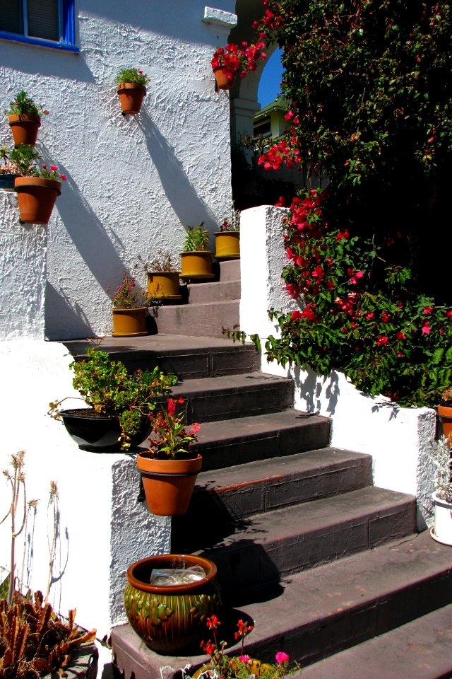 staircase with pots
