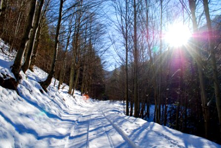 Snowy Mountain Path on a Sunny Day photo