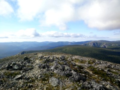 099 - Parc national de la Gaspésie : Mont Richardson