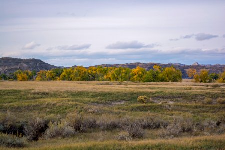Yellowstone River Calypso Bridge 38