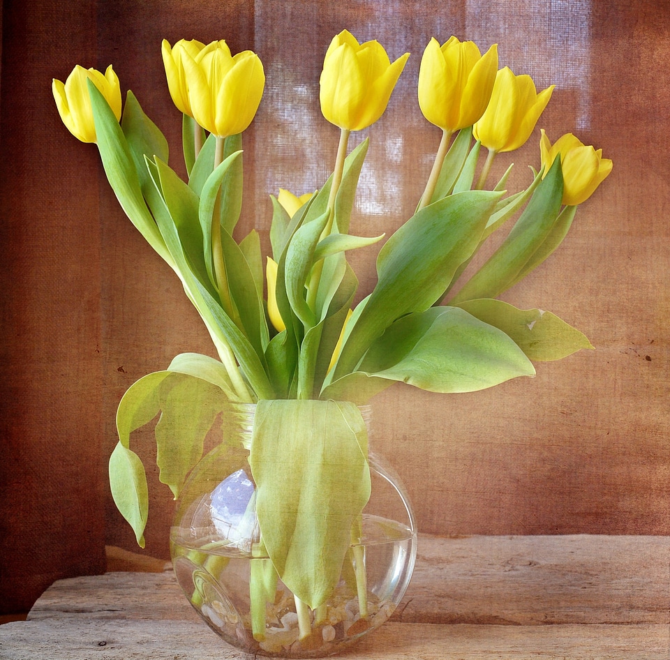 Spring flowers cut flowers vase