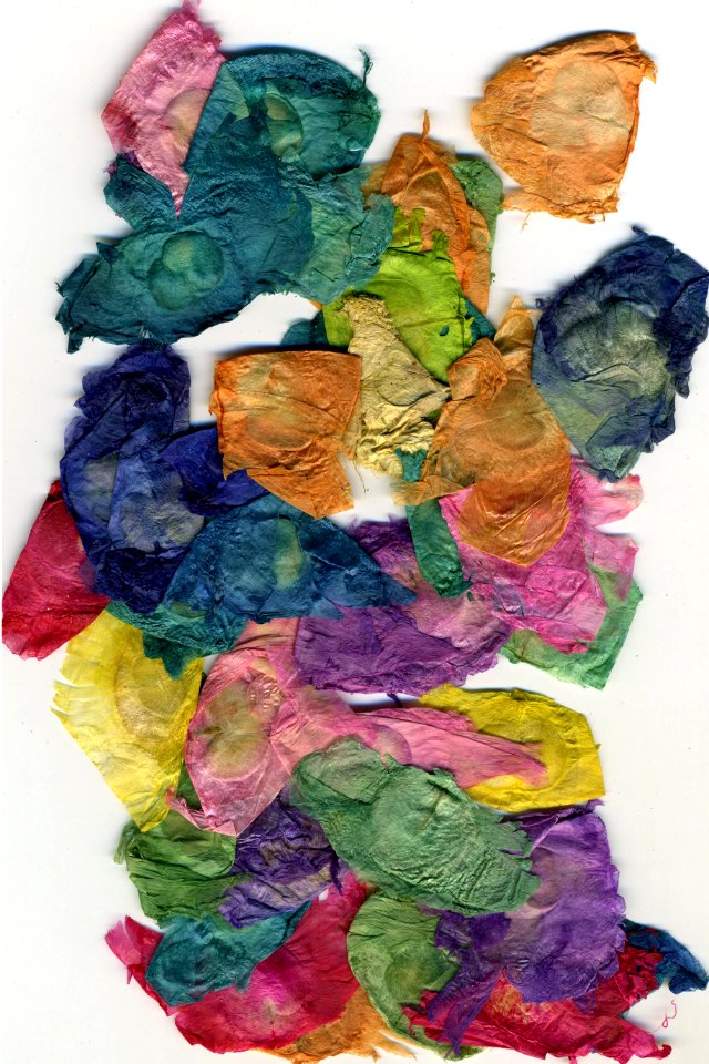 dyed caladium petals