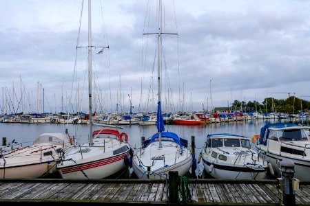 Docked Boats photo