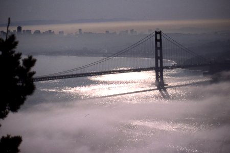Golden Gate Bridge in fog 1