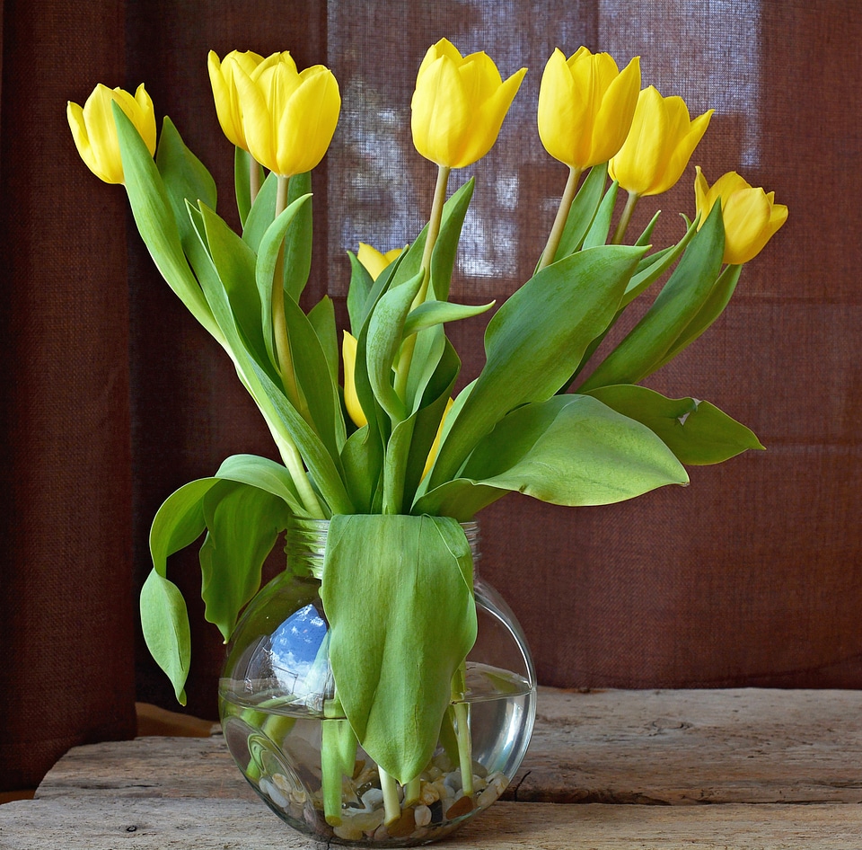 Cut flowers spring flowers bouquet