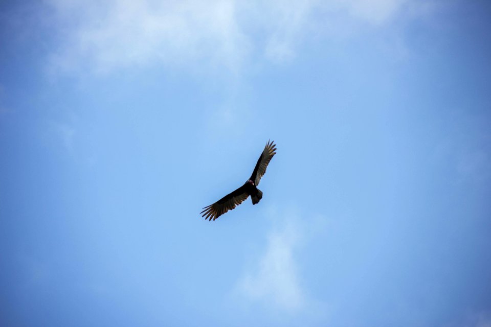 IMG 9393