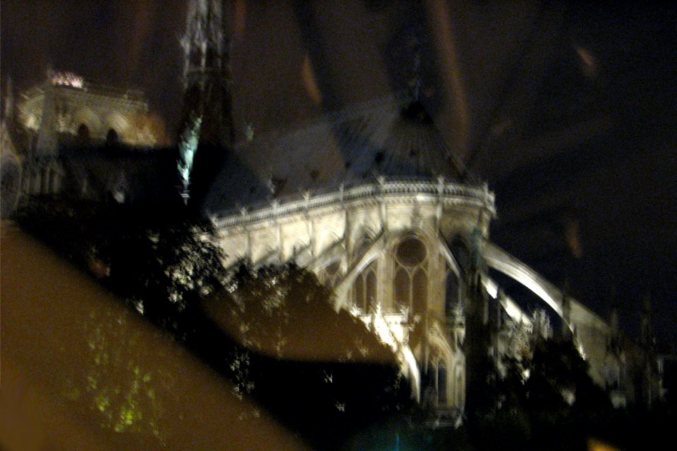 Paris night reflection