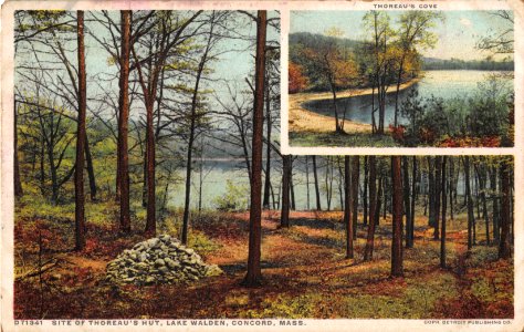 D71341 SITE OF THOREAU'S HUT