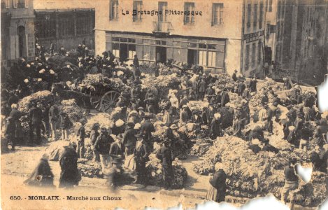 650 MORLAIX - MARCHE AUX CHOUX