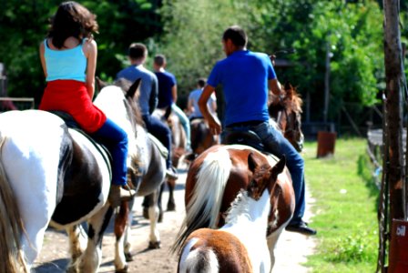 Group of People Riding Horses photo