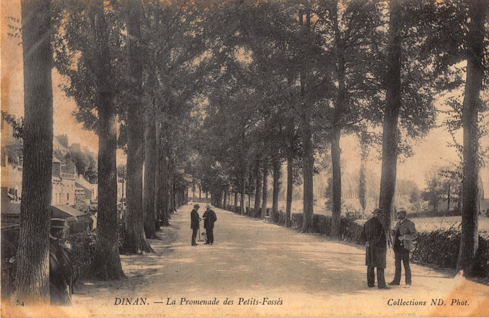 54 DINAN - LA PROMENADE DES PETITS-FOSSES