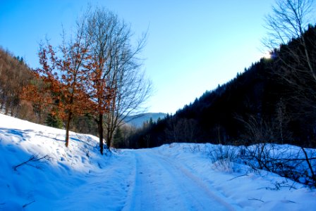 Sunny Winter Day in Mountains photo