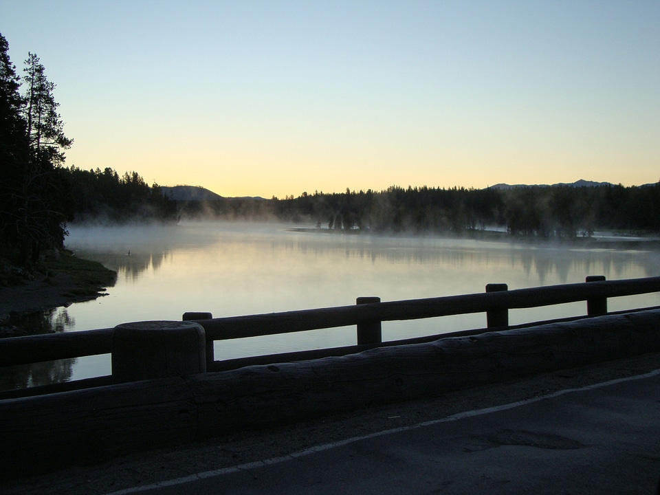 Nature fog morning