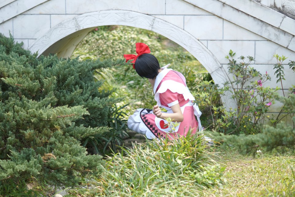 DSC04073