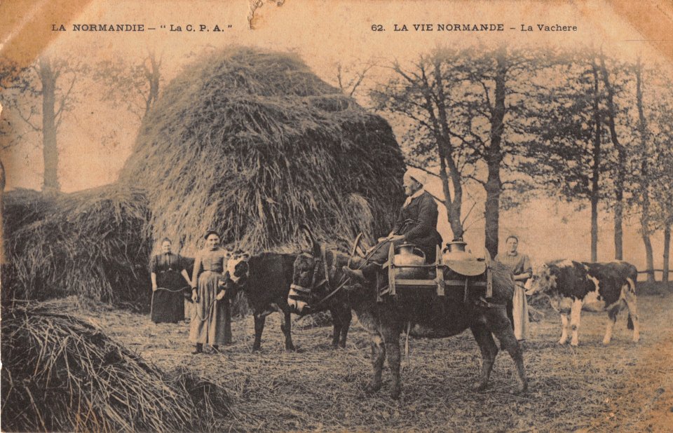 62. LA VIE NORMANDE - LA VACHERE