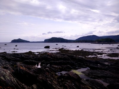249 - Parc national du Bic : Le Chemin-du-Nord