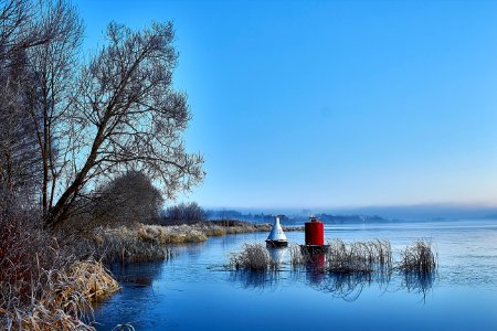 Frosty morning photo